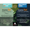 ENZYMAX DUAL RELEASE CAP IN CAP FOOD SUPPLEMENT 10 DOUBLE CAPSULES